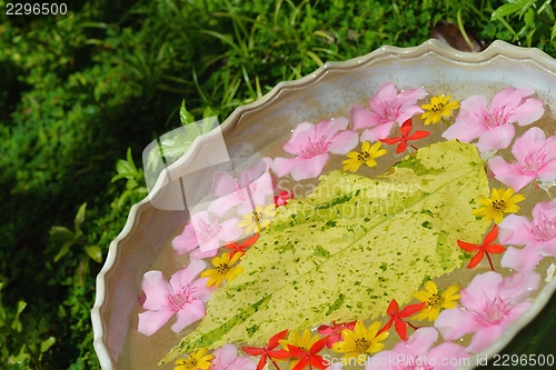 Image of water cup with beautiful flowers background