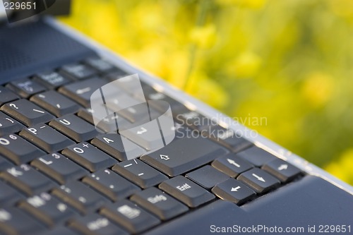 Image of Detail of a laptop