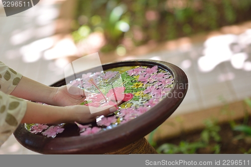 Image of female hand and flower in water