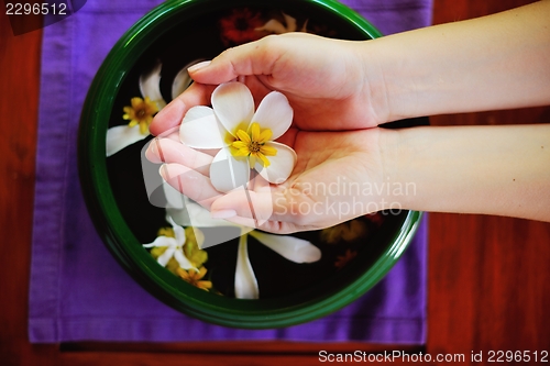 Image of female hand and flower in water