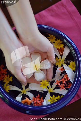 Image of female hand and flower in water