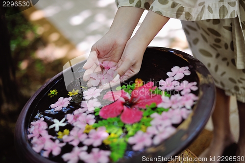 Image of female hand and flower in water