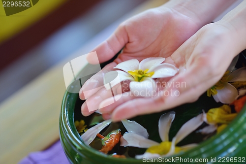 Image of female hand and flower in water