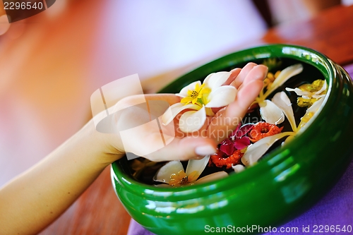 Image of female hand and flower in water