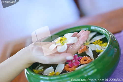 Image of female hand and flower in water