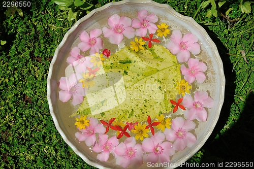 Image of water cup with beautiful flowers background