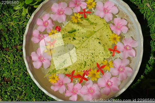 Image of water cup with beautiful flowers background