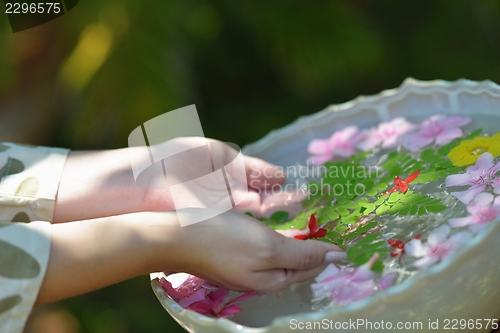 Image of female hand and flower in water