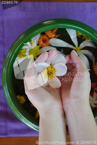 Image of female hand and flower in water