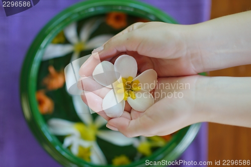 Image of female hand and flower in water