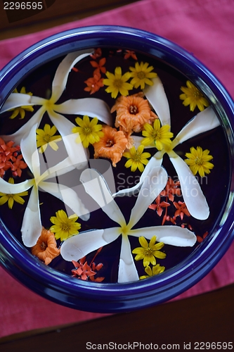 Image of female hand and flower in water