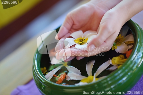 Image of female hand and flower in water