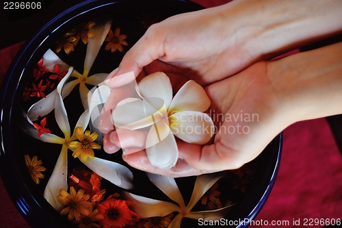 Image of female hand and flower in water