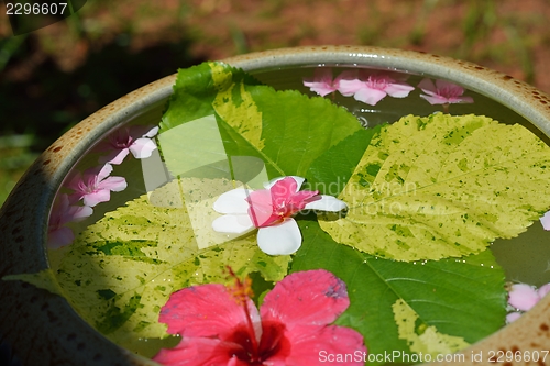 Image of water cup with beautiful flowers background