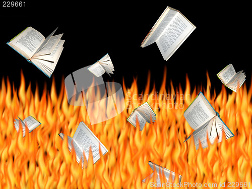 Image of Burning Books