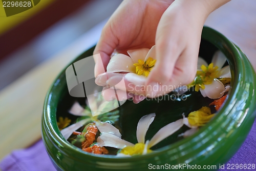 Image of female hand and flower in water
