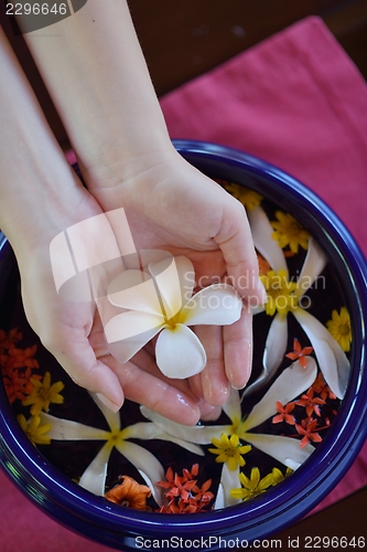 Image of female hand and flower in water