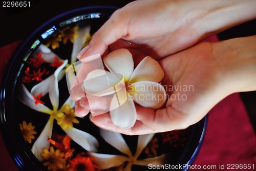 Image of female hand and flower in water