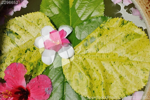 Image of water cup with beautiful flowers background