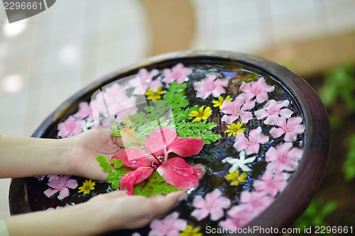 Image of female hand and flower in water