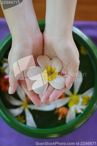 Image of female hand and flower in water