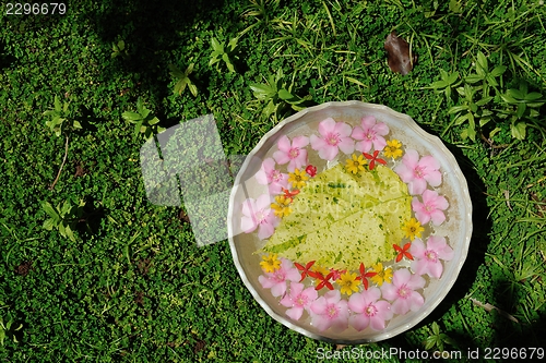 Image of water cup with beautiful flowers background