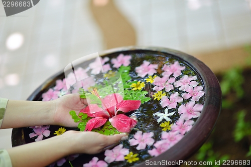 Image of female hand and flower in water