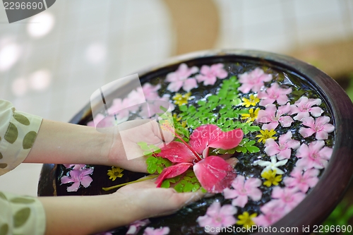 Image of female hand and flower in water