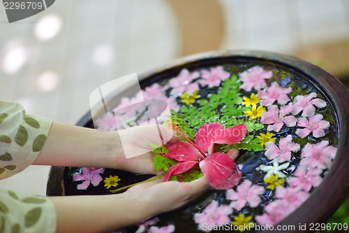 Image of female hand and flower in water