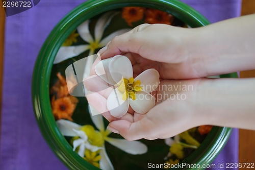 Image of female hand and flower in water