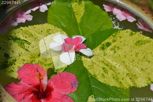 Image of water cup with beautiful flowers background