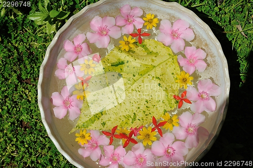 Image of water cup with beautiful flowers background