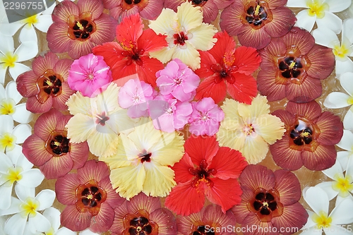 Image of water cup with beautiful flowers background