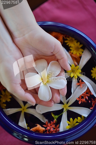 Image of female hand and flower in water