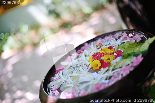 Image of water cup with beautiful flowers background