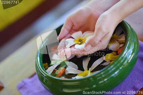 Image of female hand and flower in water