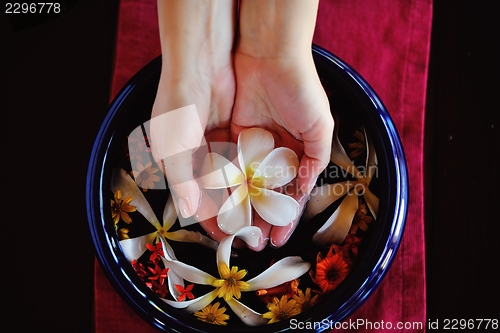 Image of female hand and flower in water