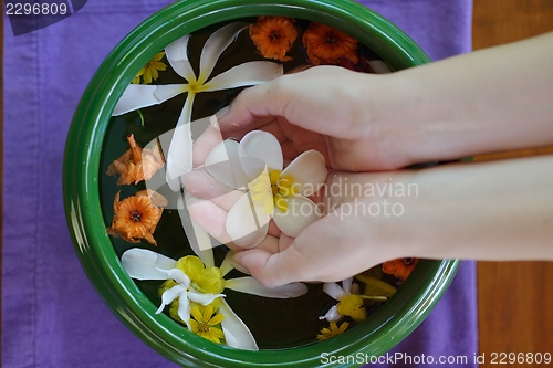 Image of female hand and flower in water