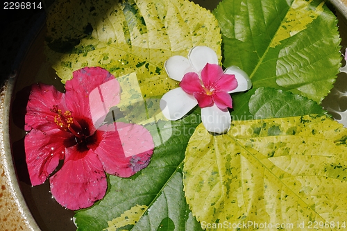 Image of water cup with beautiful flowers background