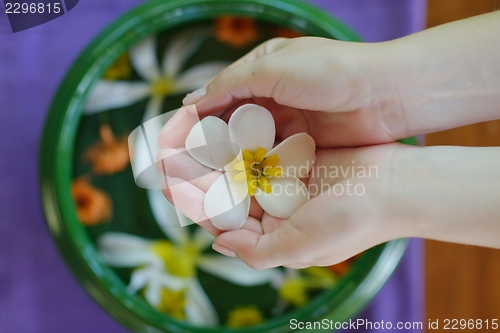 Image of female hand and flower in water