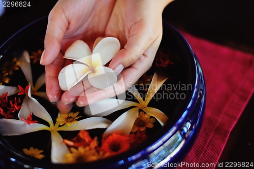 Image of female hand and flower in water