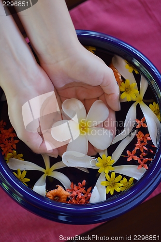 Image of female hand and flower in water