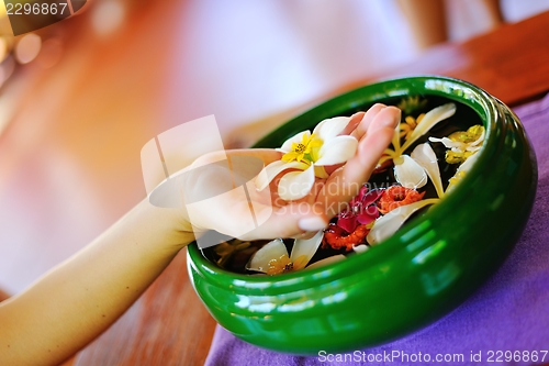 Image of female hand and flower in water