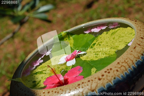 Image of water cup with beautiful flowers background