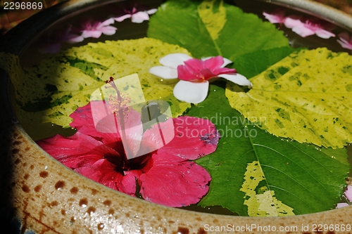 Image of water cup with beautiful flowers background