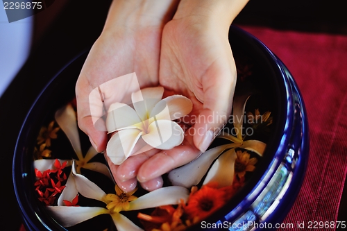 Image of female hand and flower in water