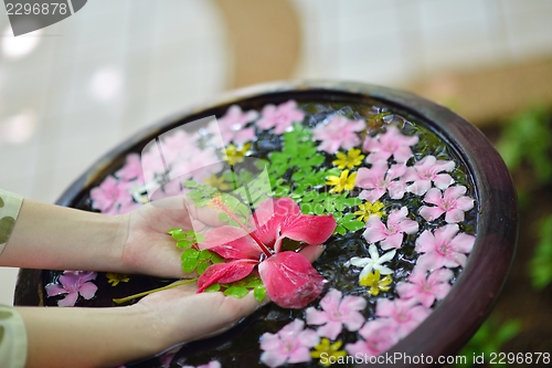 Image of female hand and flower in water