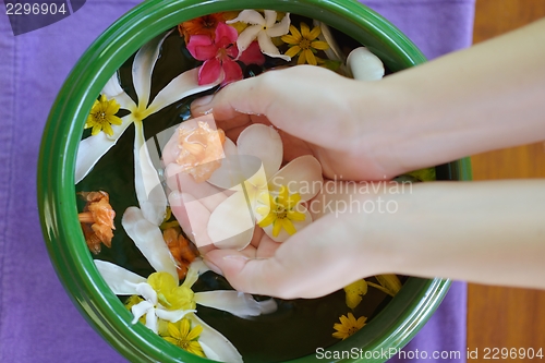 Image of female hand and flower in water