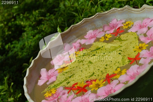 Image of water cup with beautiful flowers background