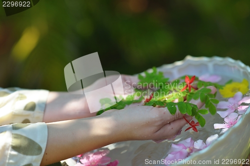 Image of female hand and flower in water